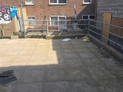 Picture 13